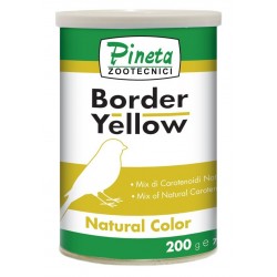 Pineta Border Yellow Carotene  200gr