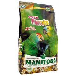 Manitoba Amazon Parrots  2kg