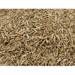 Vadigran Grass Seeds 3kg