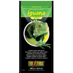 Adult Iguana food